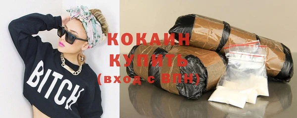 сатива Коряжма