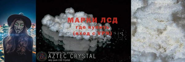 сатива Коряжма