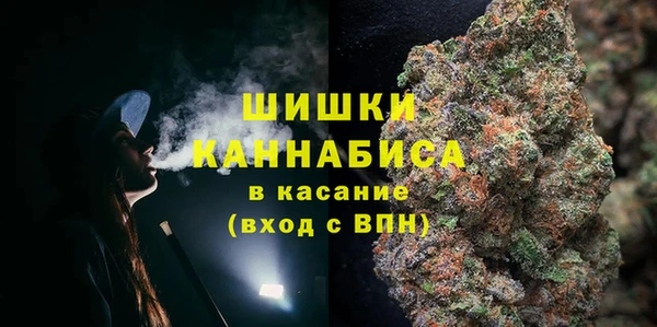 сатива Коряжма