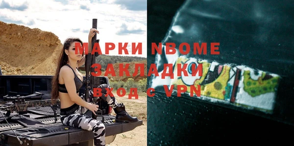сатива Коряжма